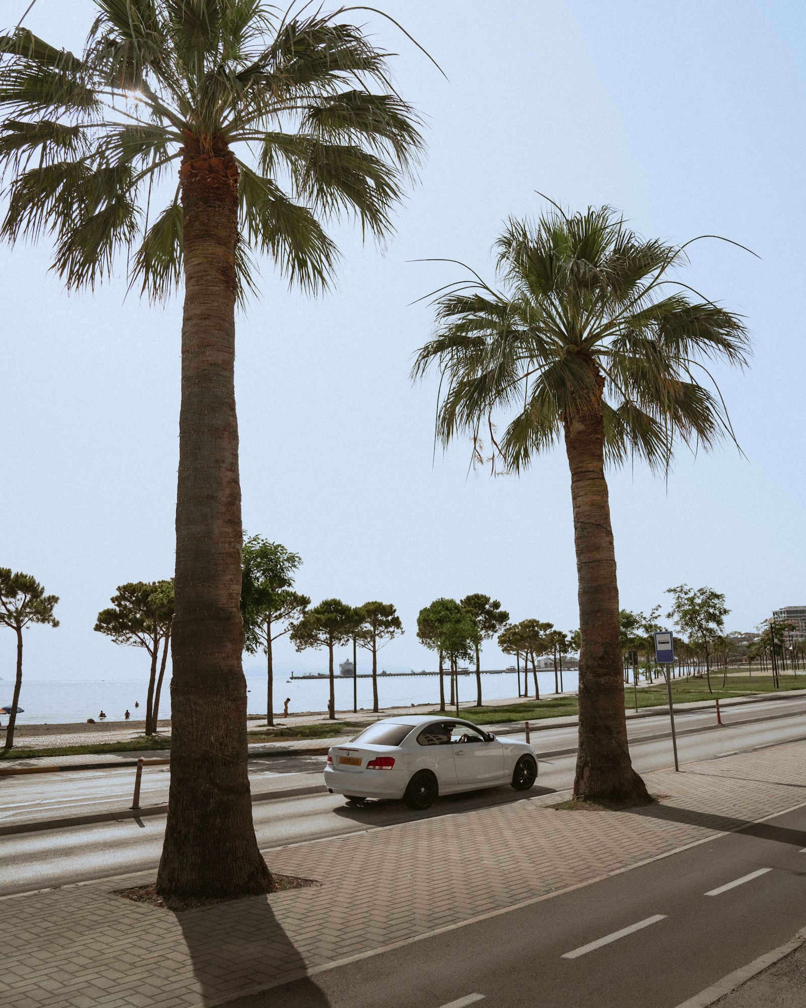 White sedan on a palm-lined coastal road